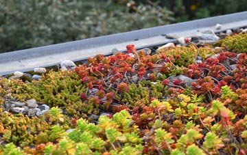 the cost of Sandhurst green roof installation