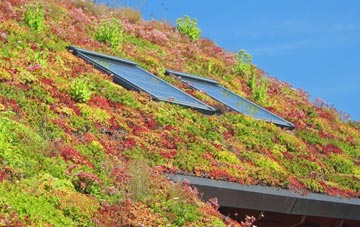 Sandhurst living roof systems